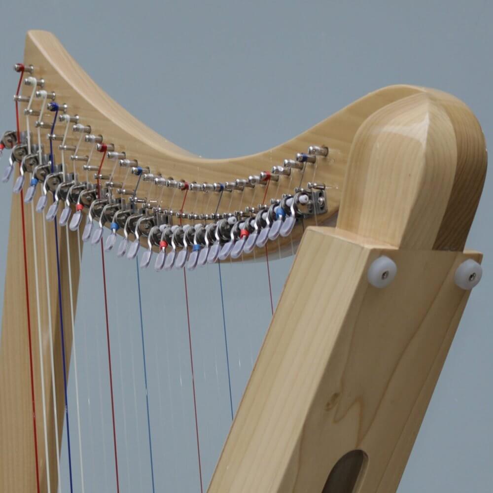 Mikel Harp: Lily Lap 26st image 8