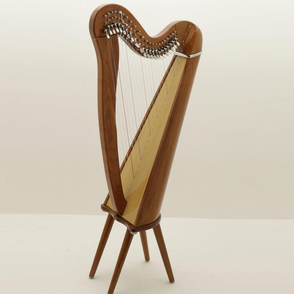 Mikel Harp: Aster 22st image 7