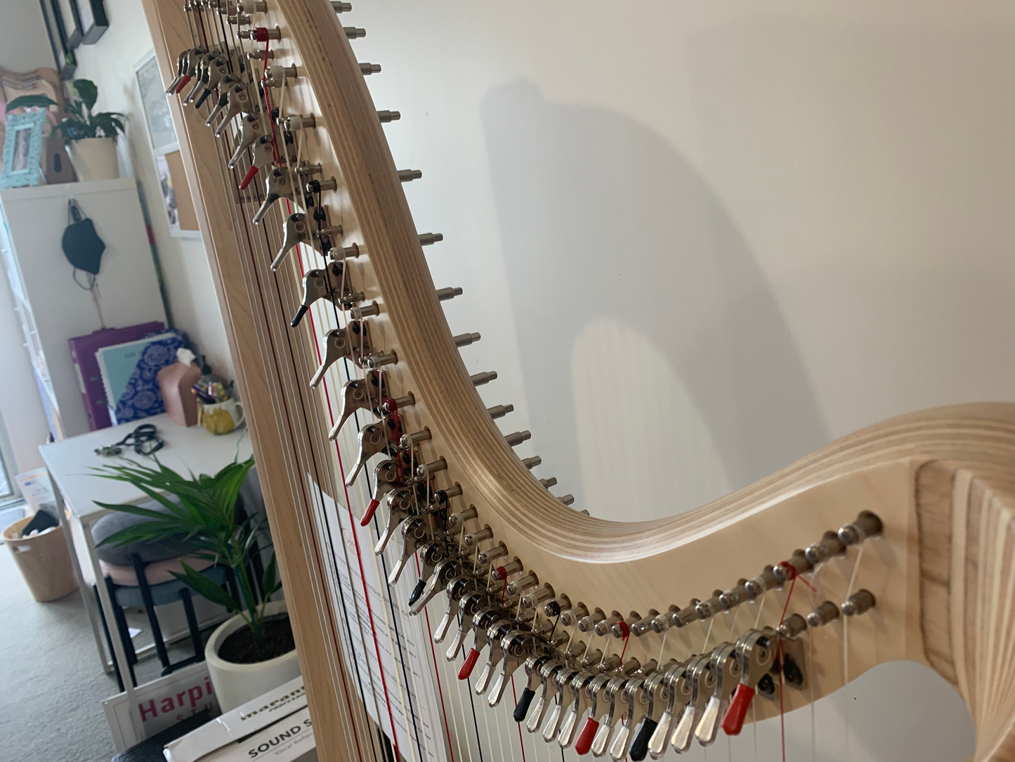 Salvi Hermes 40st NATURAL - bio-carbon strings image 6