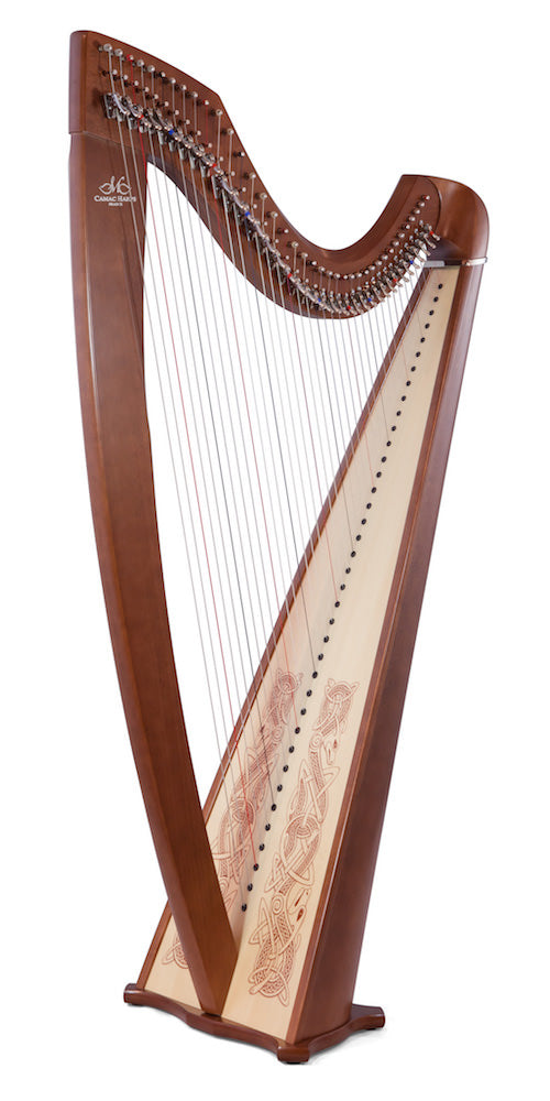 CAMAC Isolde Celtic or Classic 38st image 1