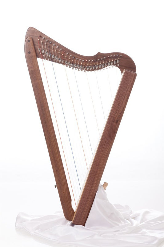 Special Fullsicle-Harp Walnut + Dandelion image 0