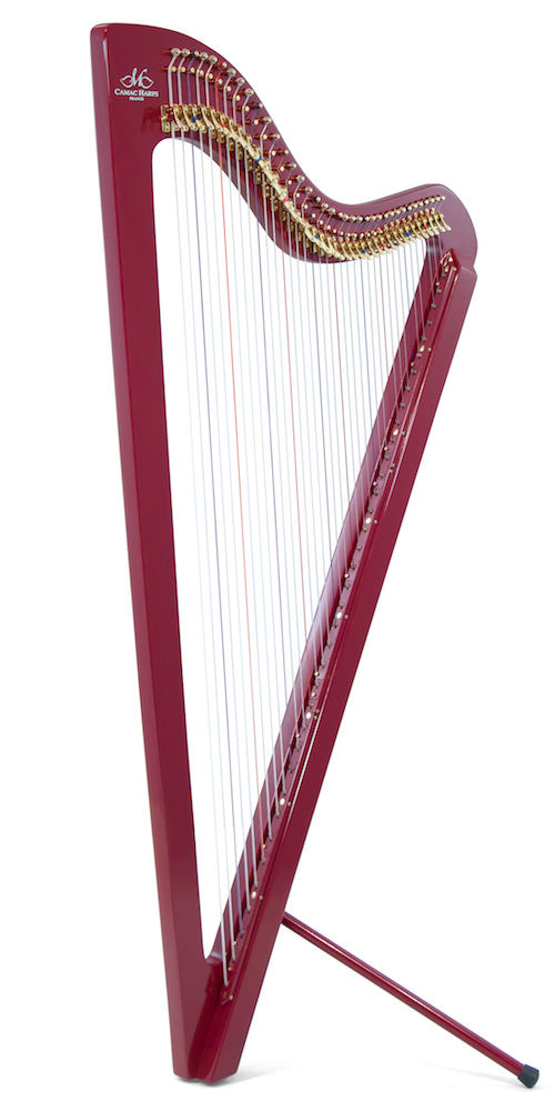 CAMAC Electro Paraguayan Harp 37st image 0