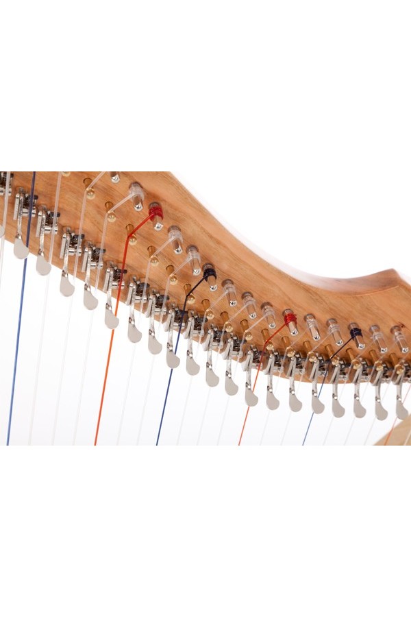 Special Fullsicle-Harp Cherrywood + Hummingbird Ornamentation image 4