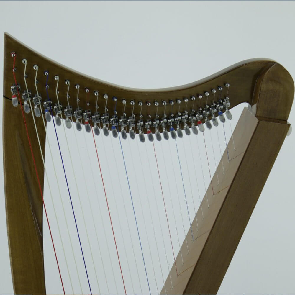 Mikel Harp: Lily Lap 26st image 5