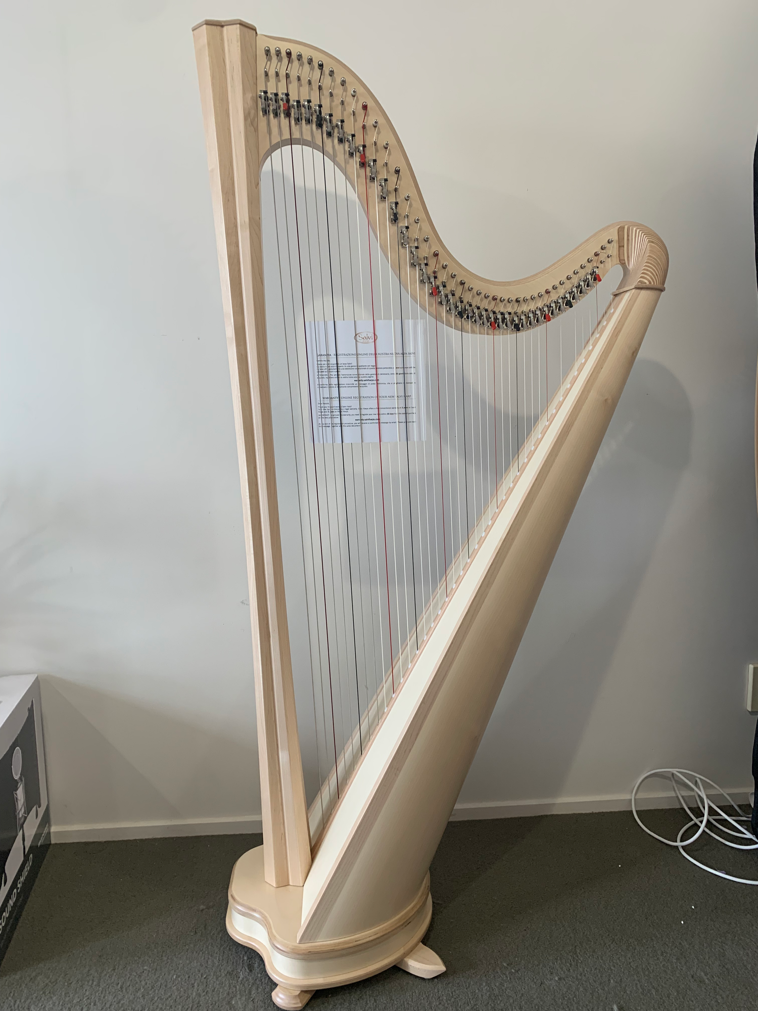 Salvi Hermes 40st NATURAL - bio-carbon strings image 0