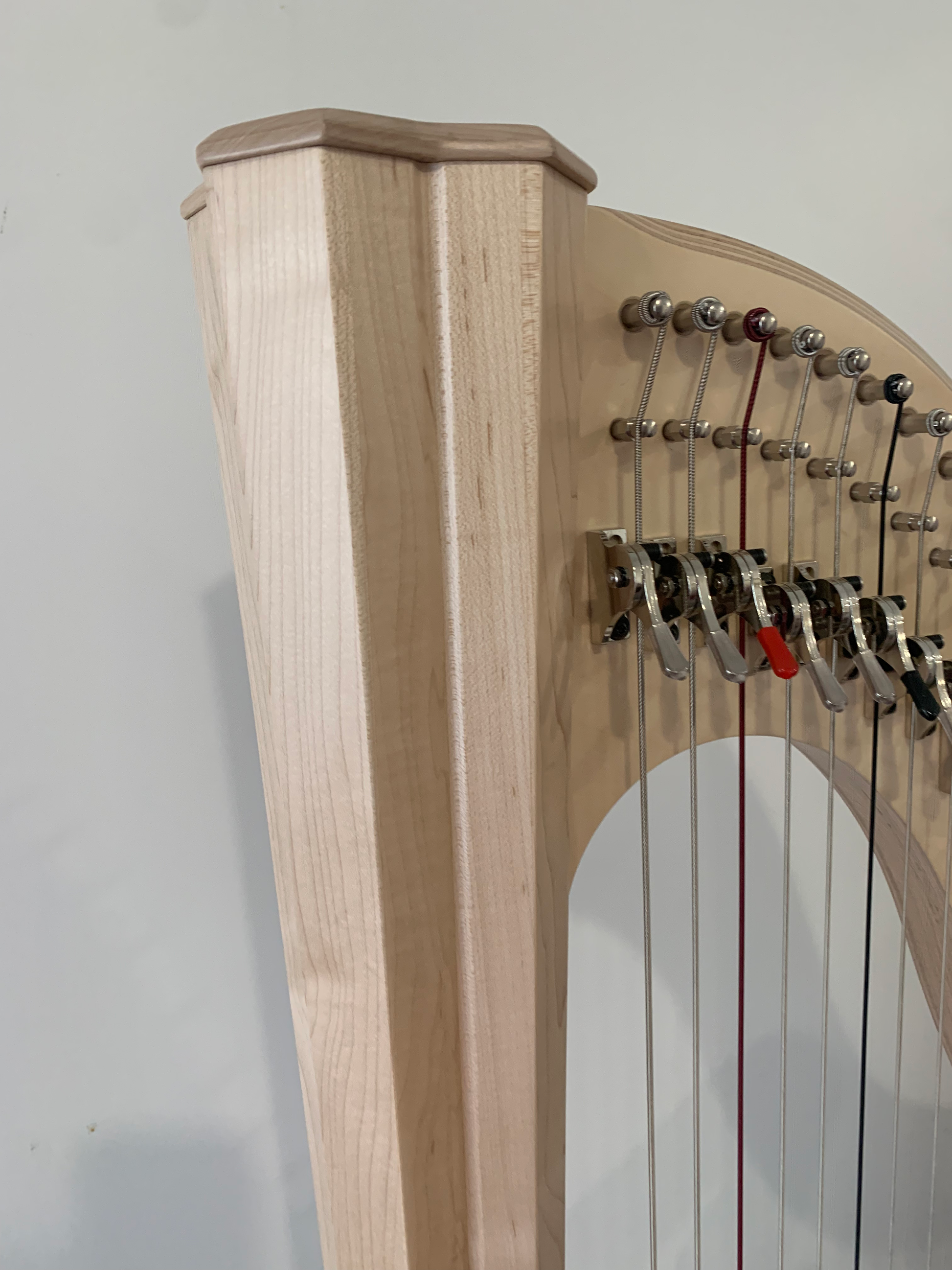 Salvi Hermes 40st NATURAL - bio-carbon strings image 3