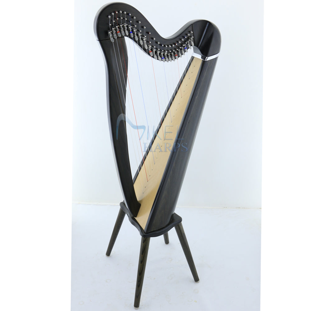 Mikel Harp: Aster 22st image 8