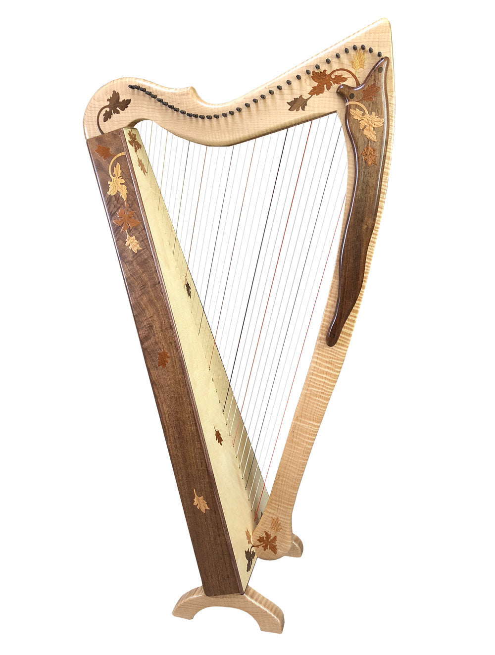 Rees Harps Mariposa 34st image 2