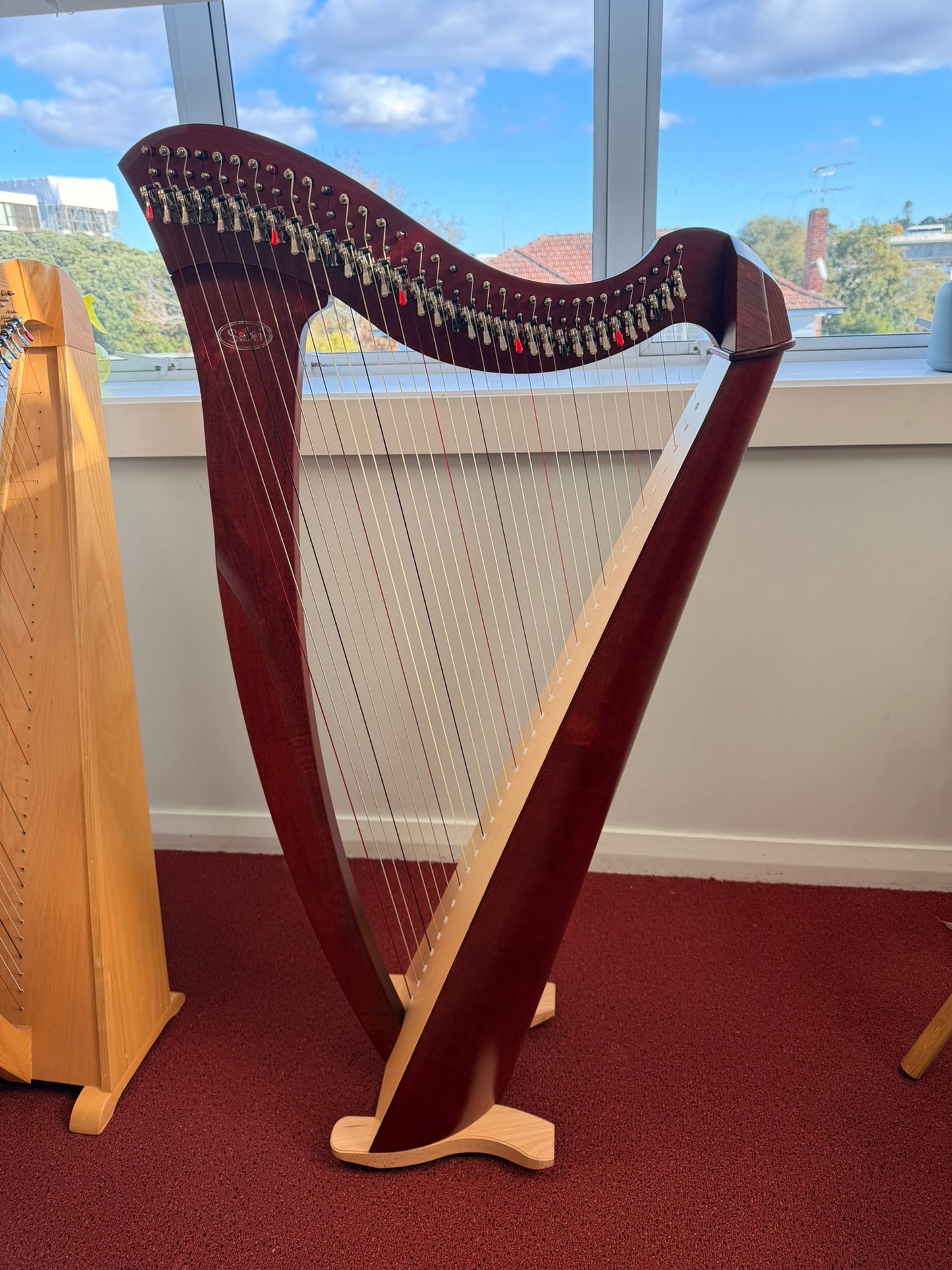 [Brand New] Salvi Mia 34st Mahogany