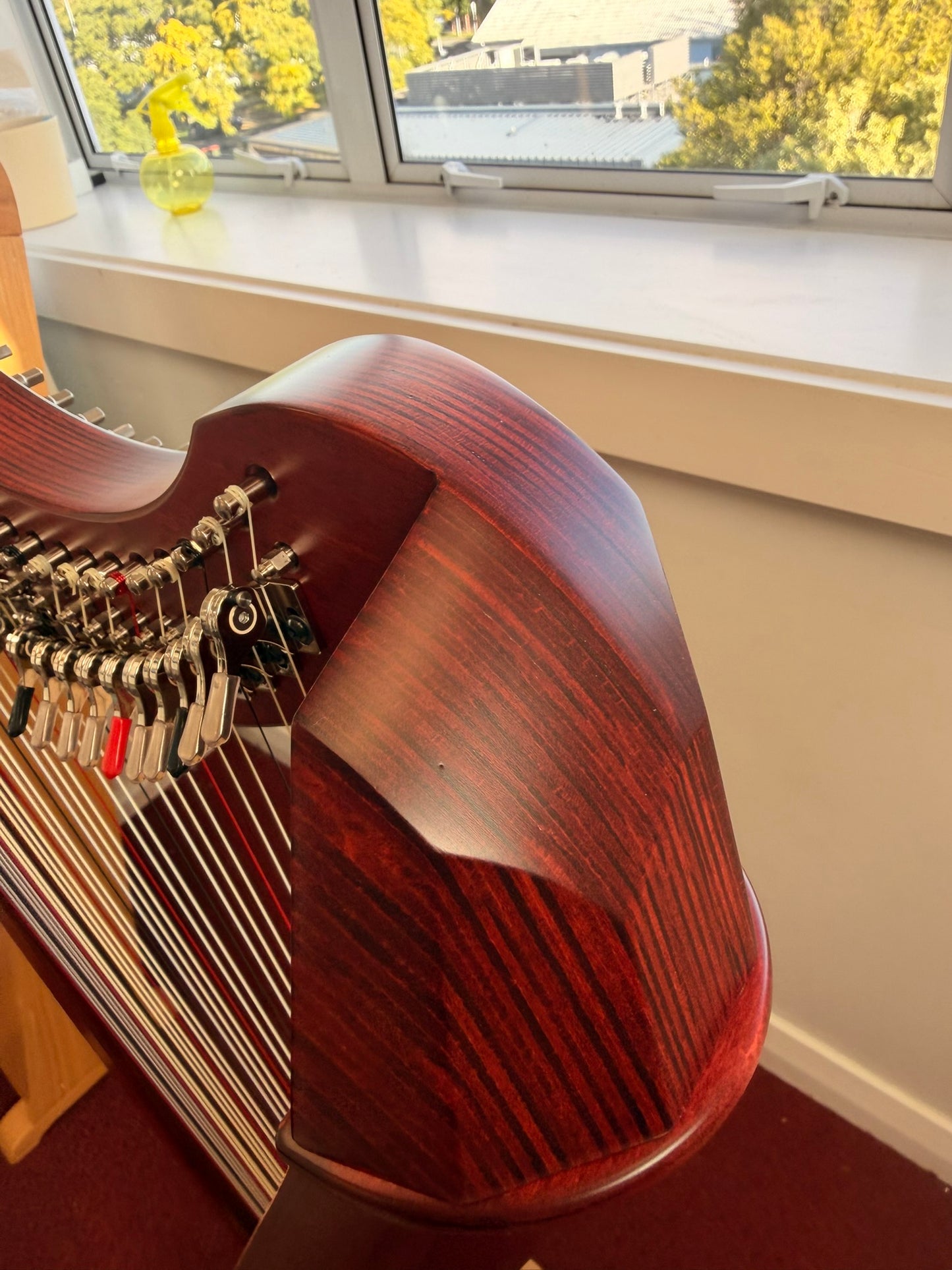[Brand New] Salvi Mia 34st Mahogany