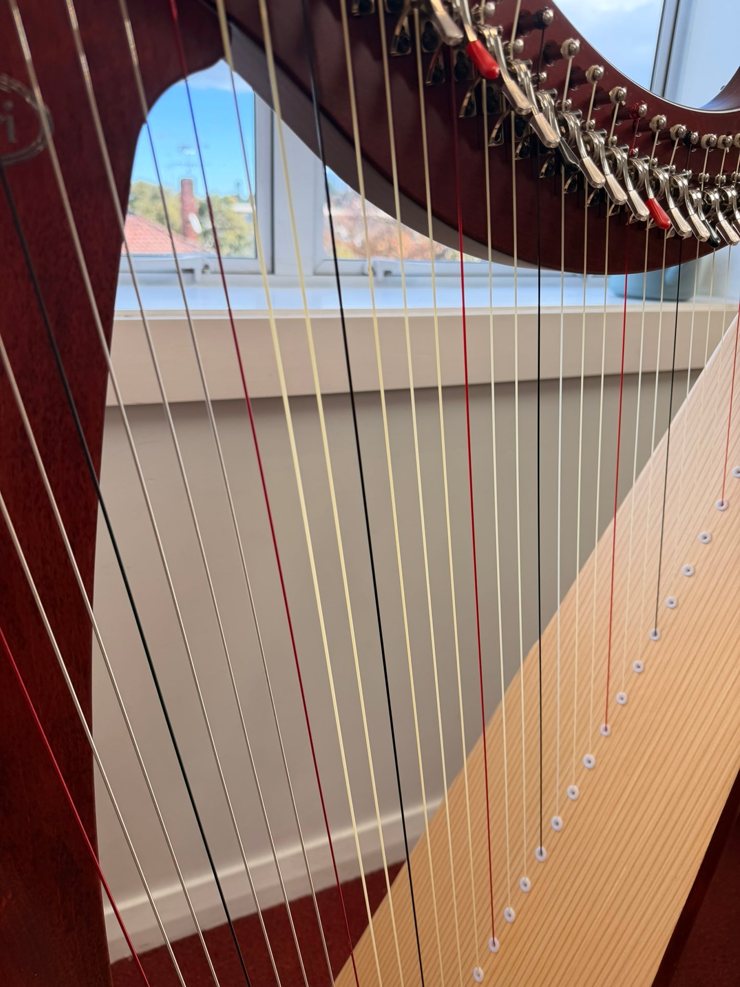 [Brand New] Salvi Mia 34st Mahogany