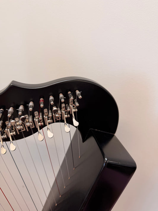 [Pre-loved] 2021 Fullsicle-Harp 26st Black