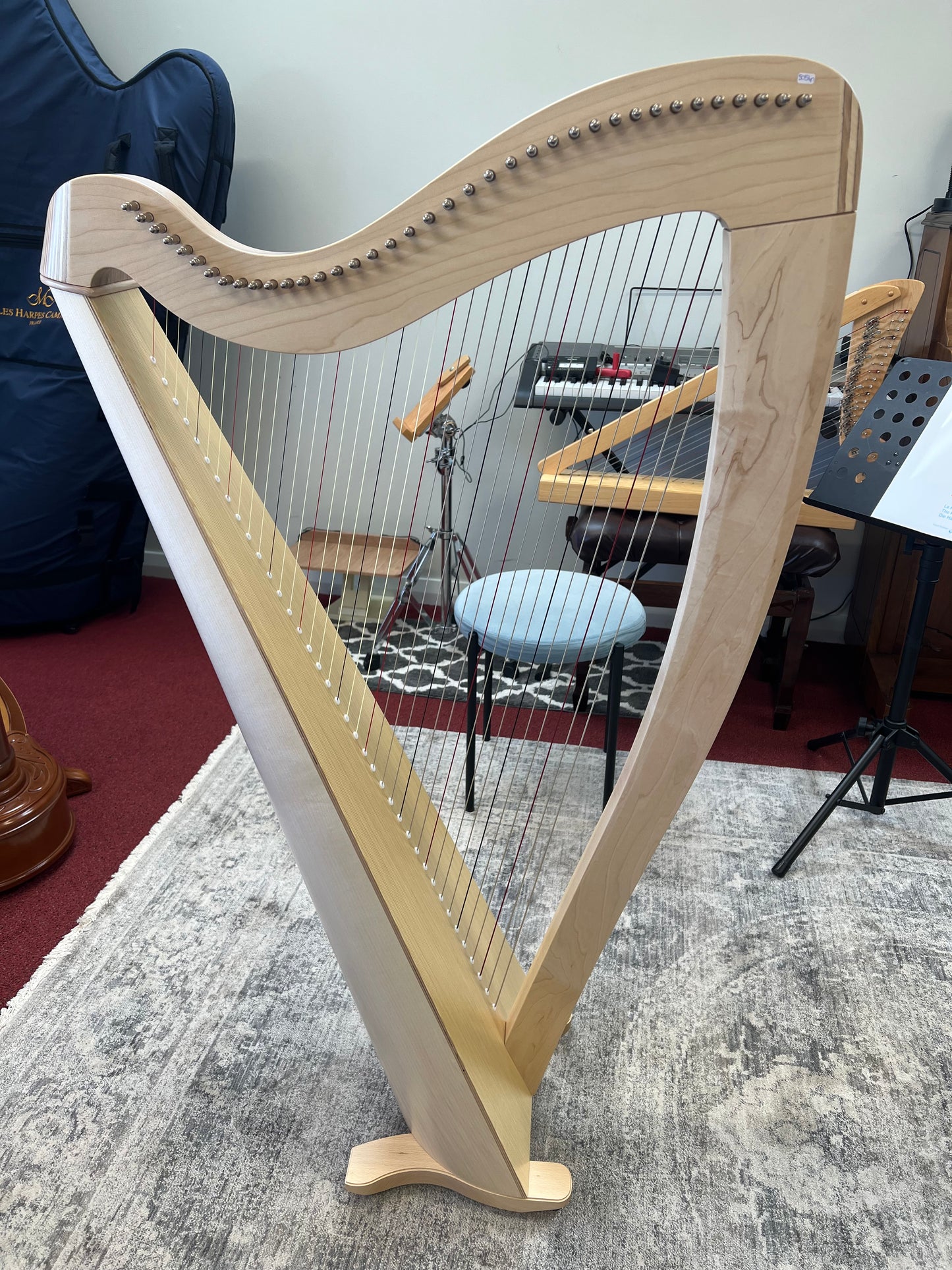 Salvi T2 Student Lever harp 38st - Natural