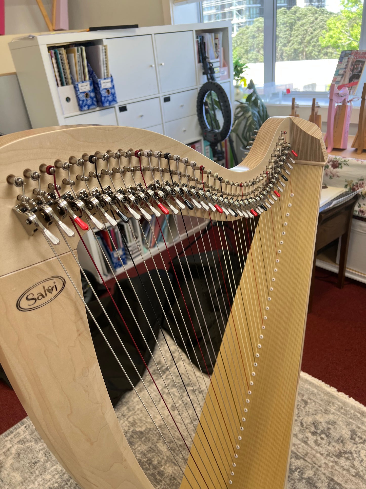 Salvi T2 Student Lever harp 38st - Natural
