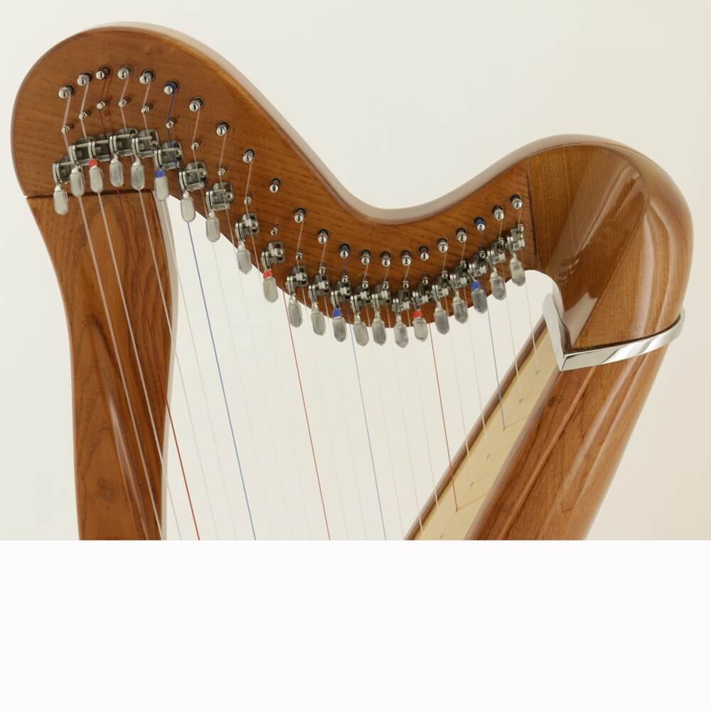 Mikel Harp: Aster 22st image 3