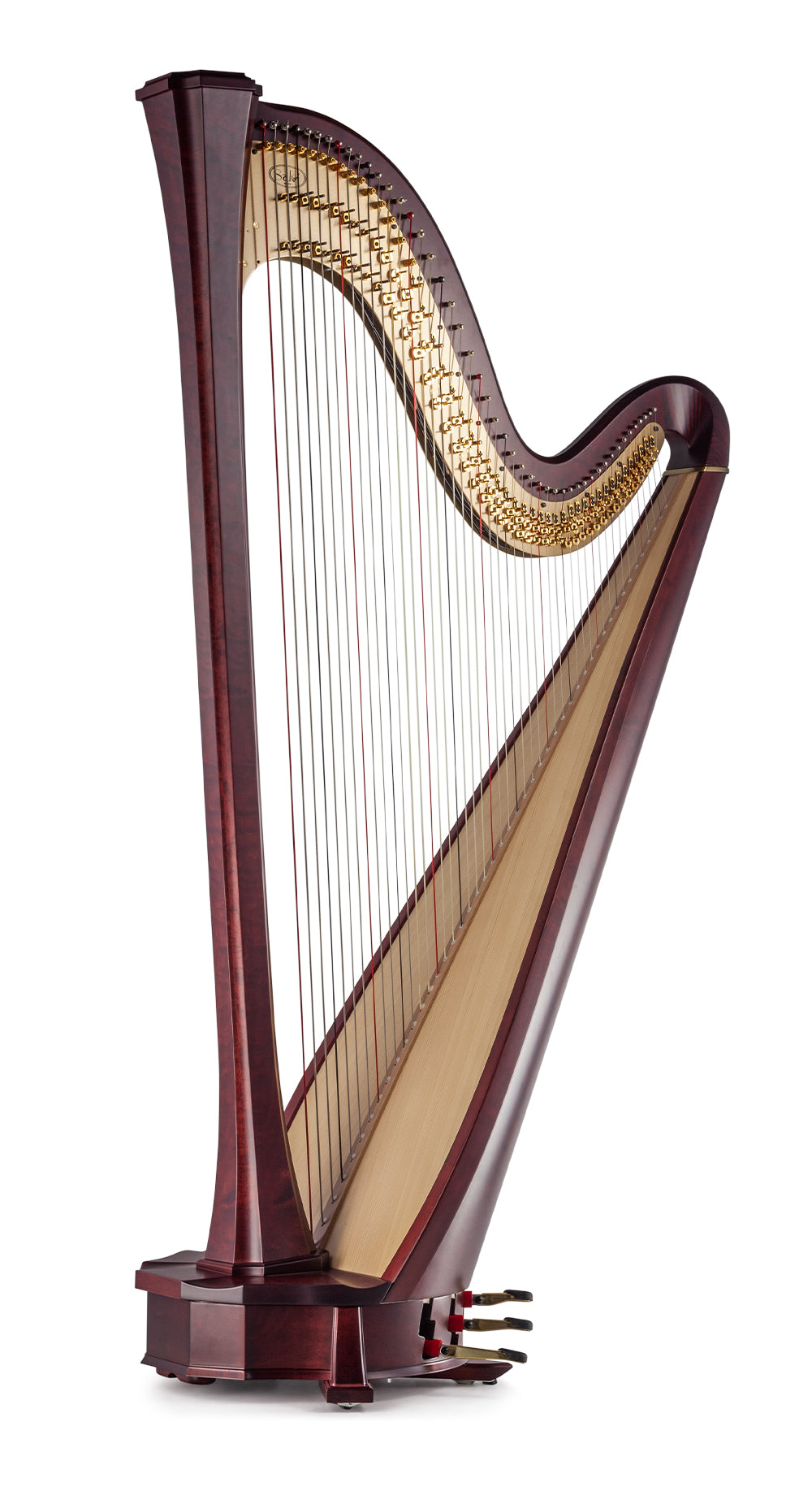 SALVI ARION SG image 4
