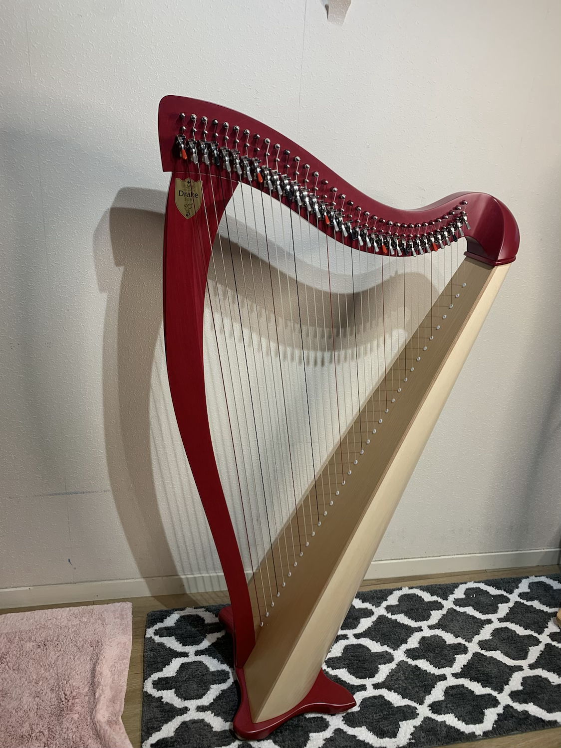 Lyon & Healy Drake 34st Two-tone image 3