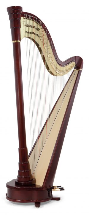 CAMAC Schola 46st image 0