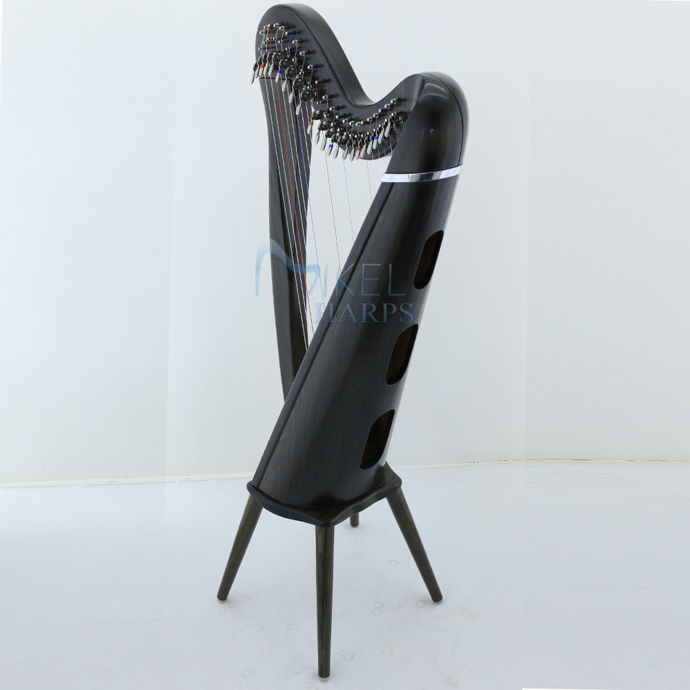 Mikel Harp: Aster 22st image 5