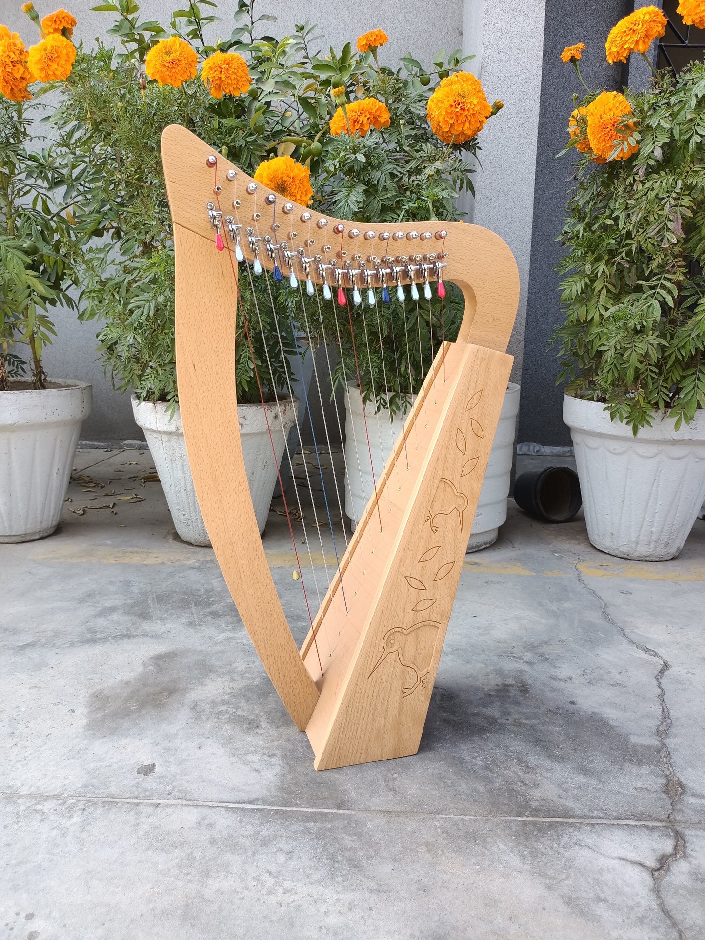 [less than perfect] Harpitree-Harp Kiwi 15st Full-Levered - Natural Set image 1