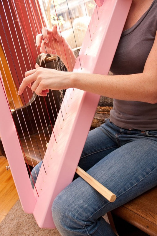 Harpsicle Stick image 1