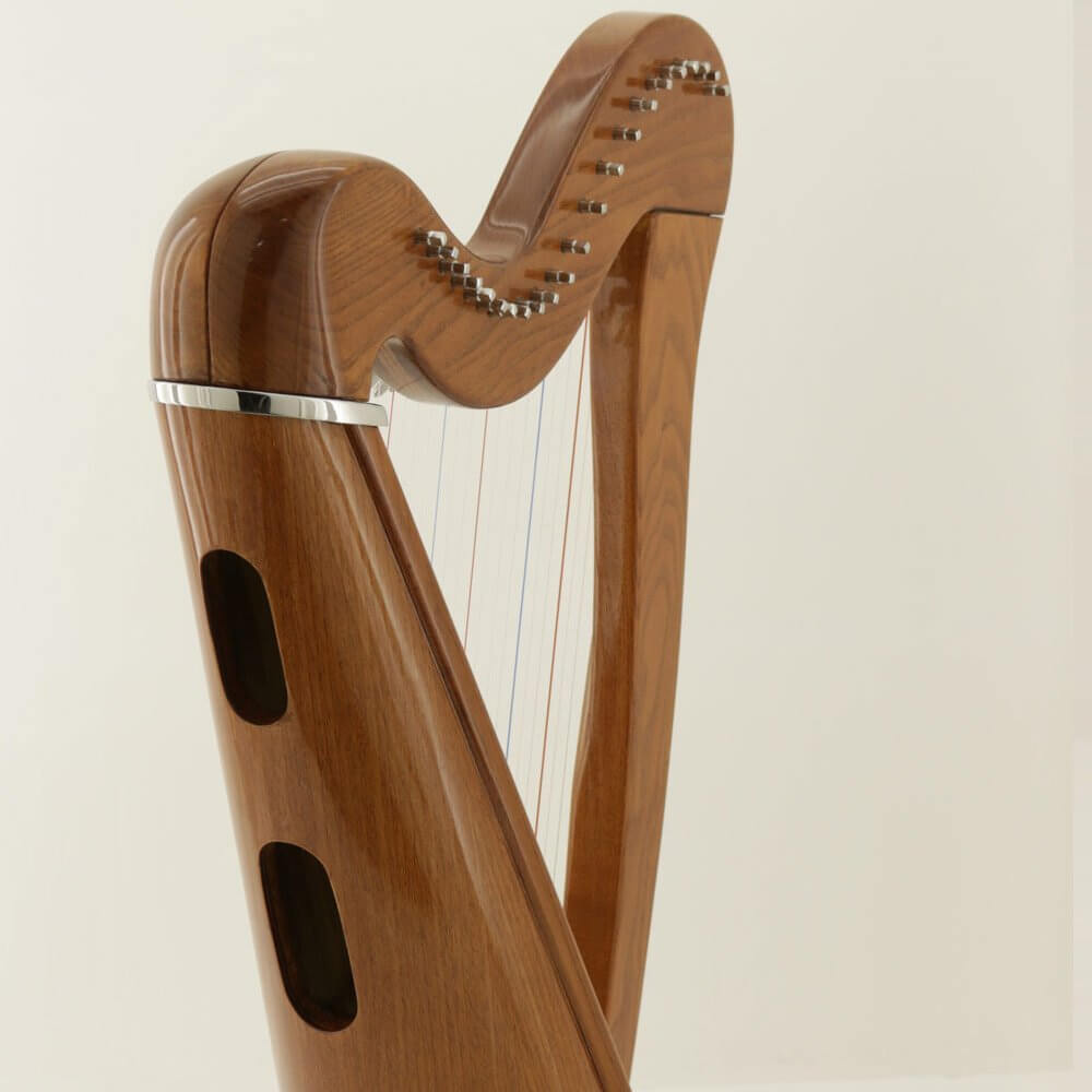 Mikel Harp: Aster 22st image 2